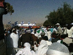 Crowd Scene